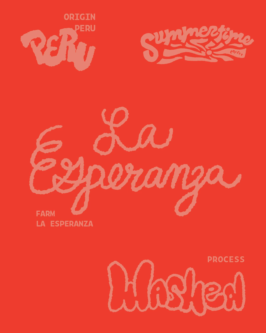 La Esperanza | Peru | Standard Packaging